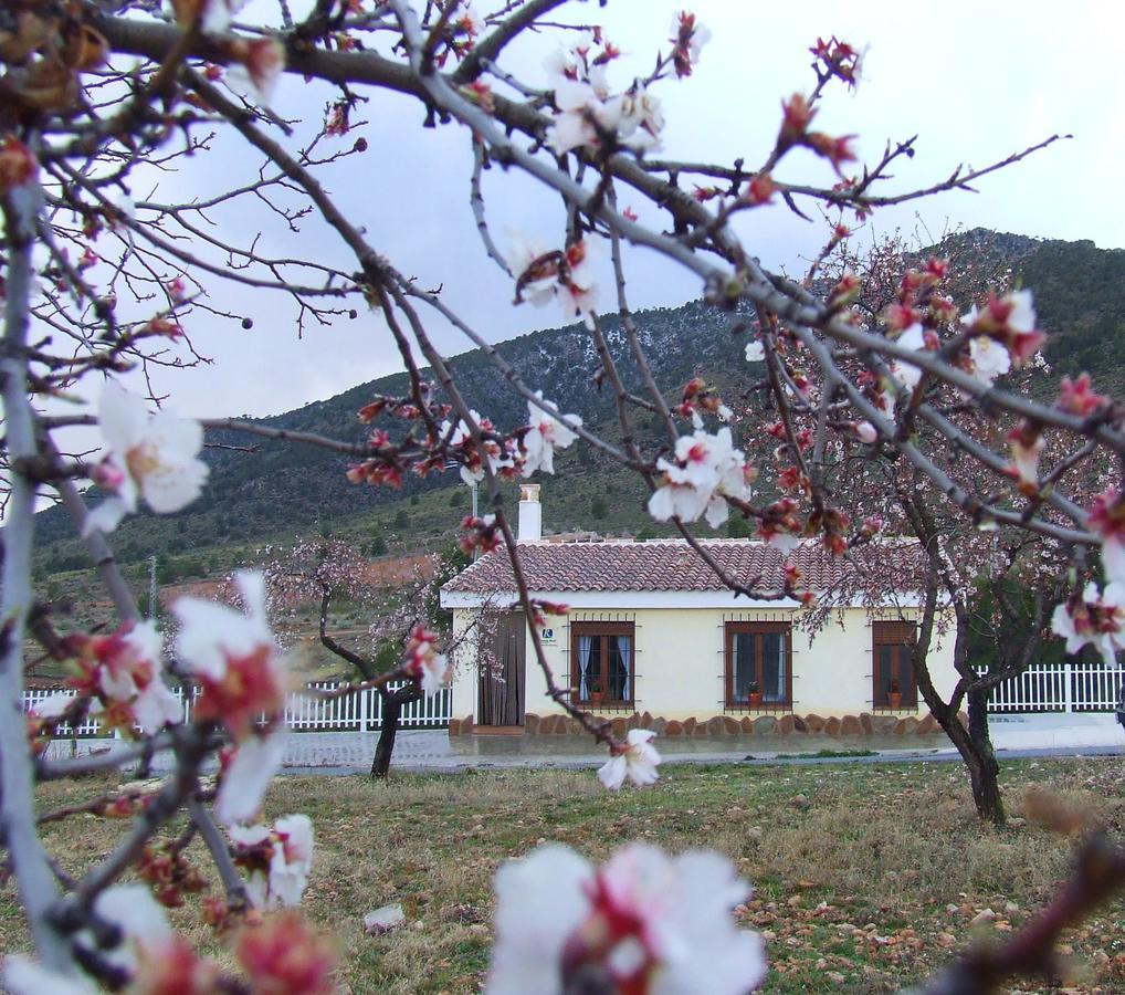 Vivienda Rural Embalse San Clemente ξενώνας Huéscar Εξωτερικό φωτογραφία